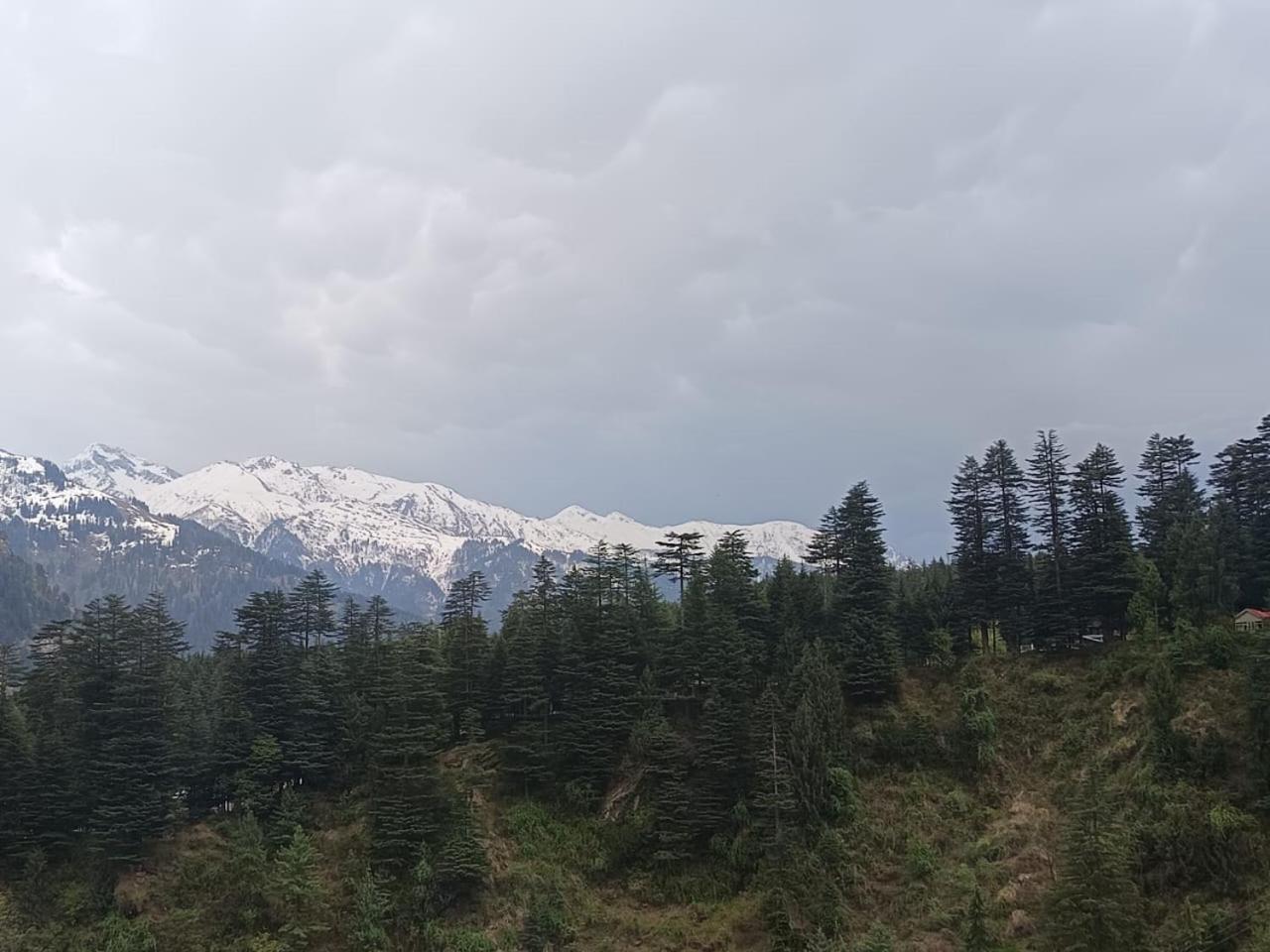 Non Stop Cafe Hostel & Stay Манали Номер фото